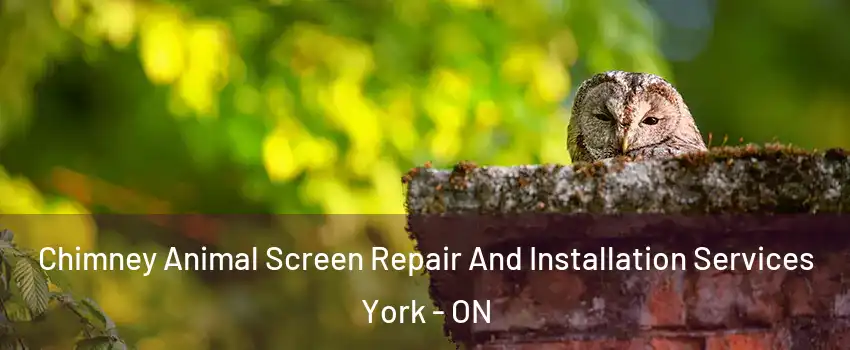  Chimney Animal Screen Repair And Installation Services York - ON