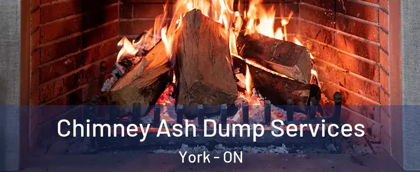  Chimney Ash Dump Services York - ON