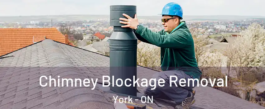  Chimney Blockage Removal York - ON