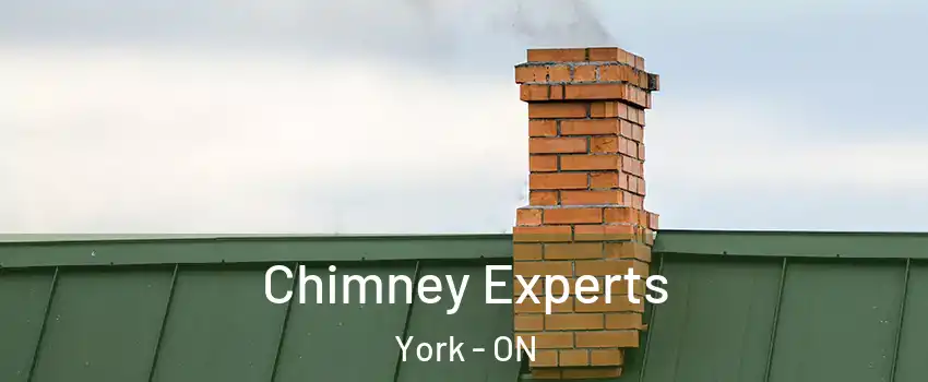 Chimney Experts York - ON
