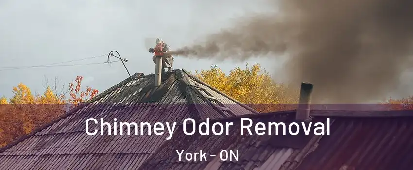  Chimney Odor Removal York - ON