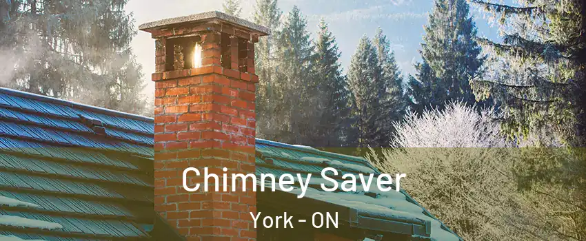  Chimney Saver York - ON