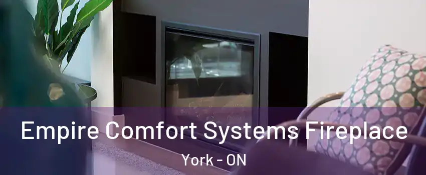  Empire Comfort Systems Fireplace York - ON