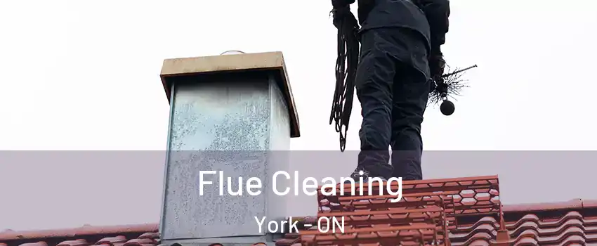  Flue Cleaning York - ON