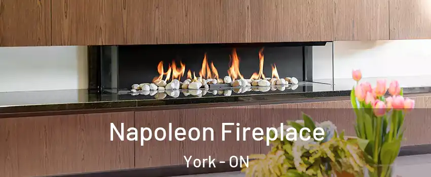  Napoleon Fireplace York - ON
